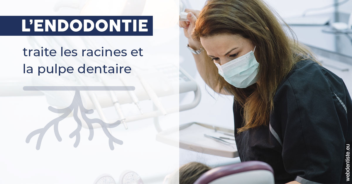 https://dr-strauss-jp.chirurgiens-dentistes.fr/L'endodontie 1