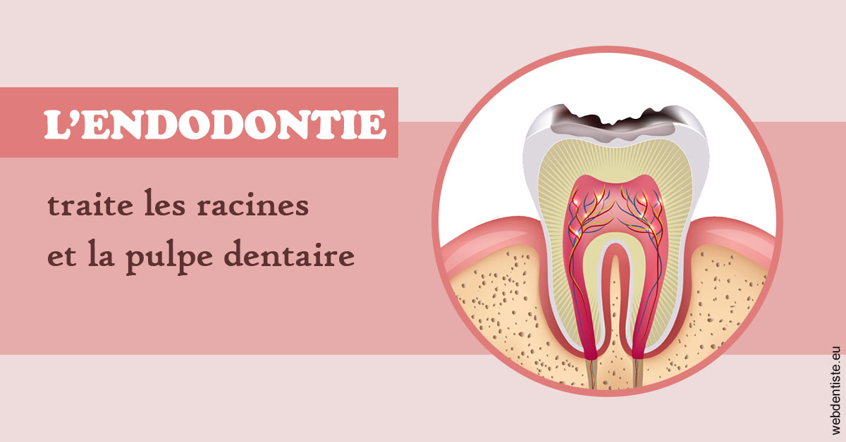 https://dr-strauss-jp.chirurgiens-dentistes.fr/L'endodontie 2