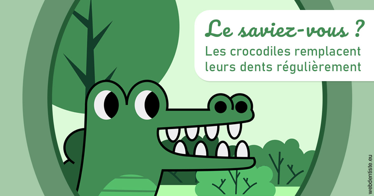https://dr-strauss-jp.chirurgiens-dentistes.fr/Crocodiles 2