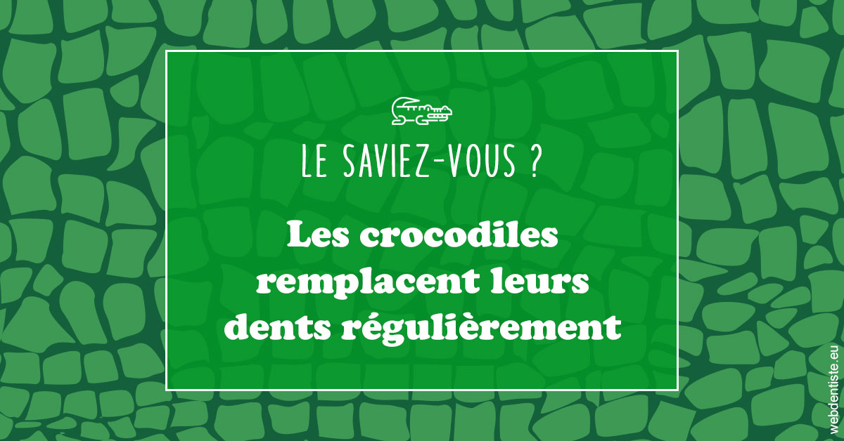 https://dr-strauss-jp.chirurgiens-dentistes.fr/Crocodiles 1